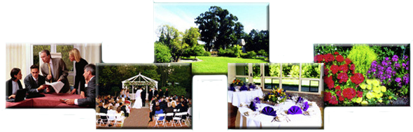 website image