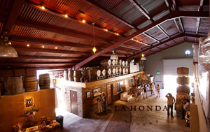 website image