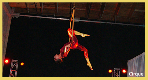 cirque de soleil theme party catering